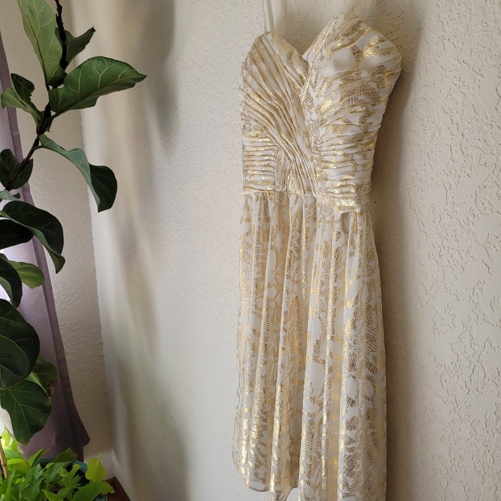 Adrianna Papell Gold & Ivory Dress